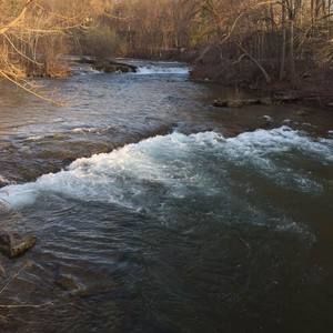 Meet your Posher, Eva